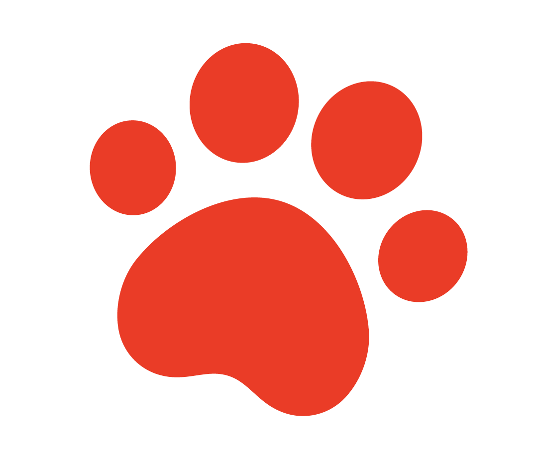 Example image