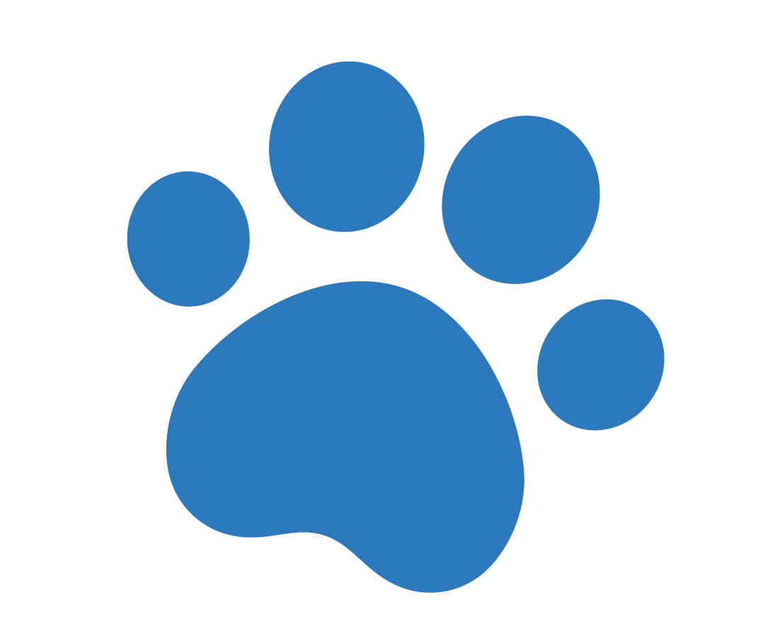 Example image