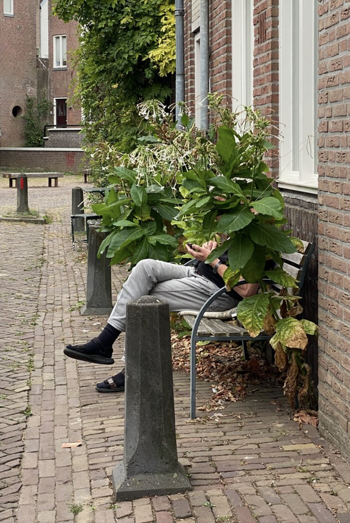 Example image
