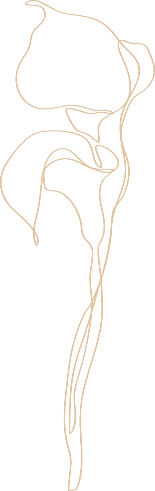 Example image