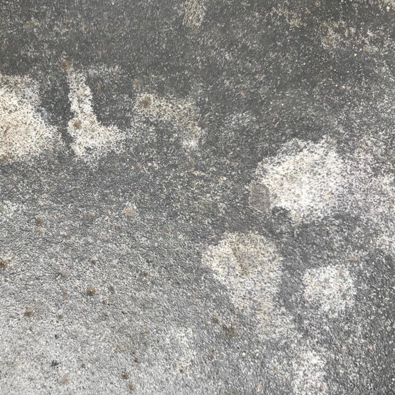 Example image
