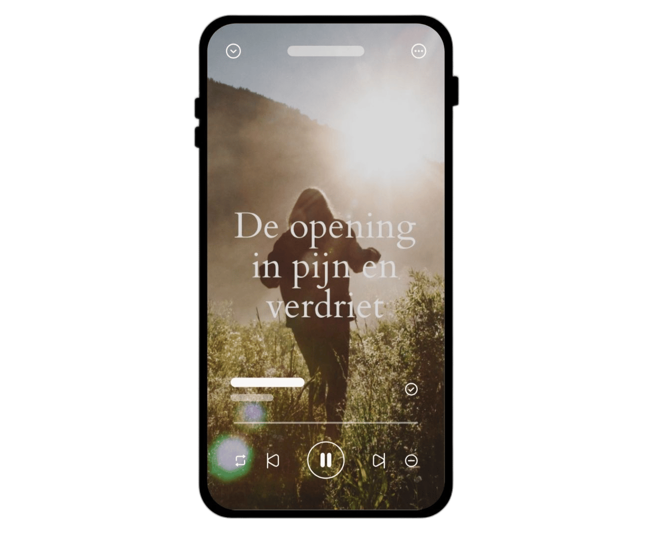 Generated by Plug&Pay AI
