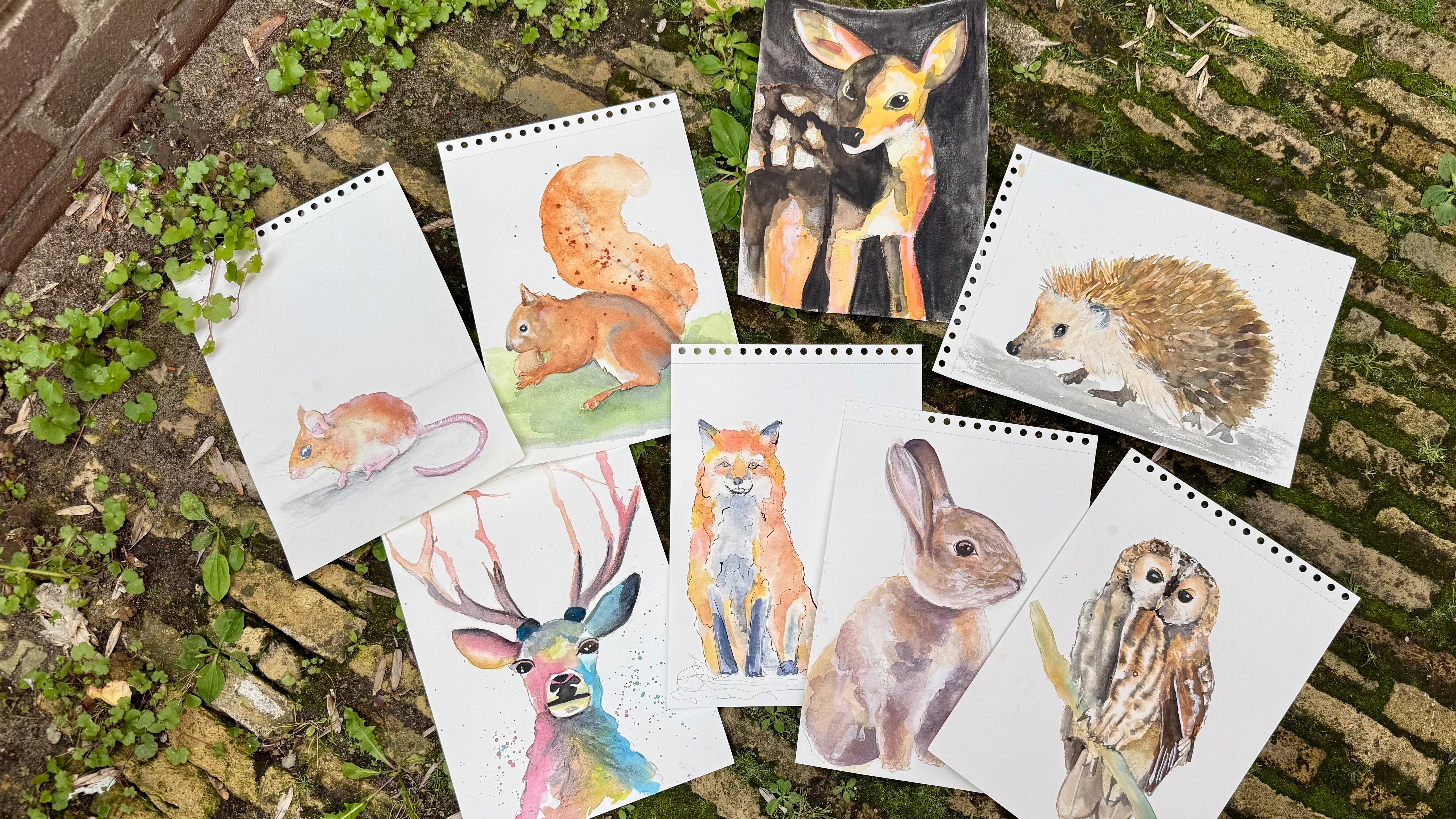 bosdieren online aquarel cursus