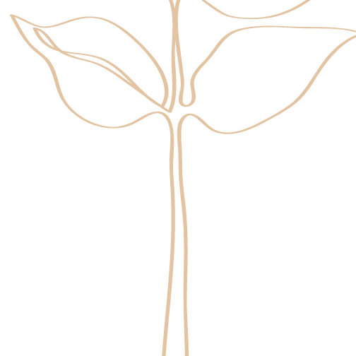 Example image