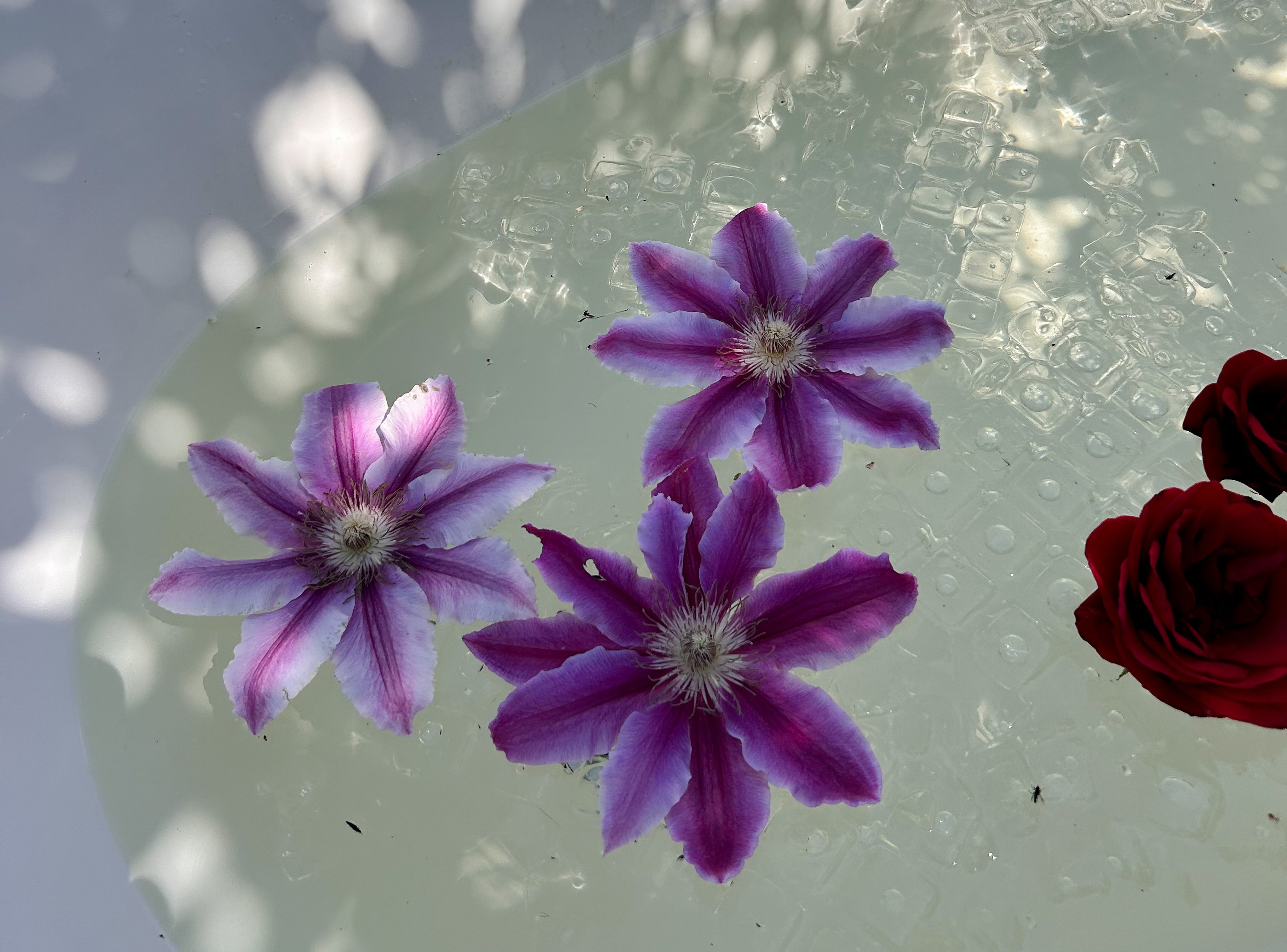 Example image