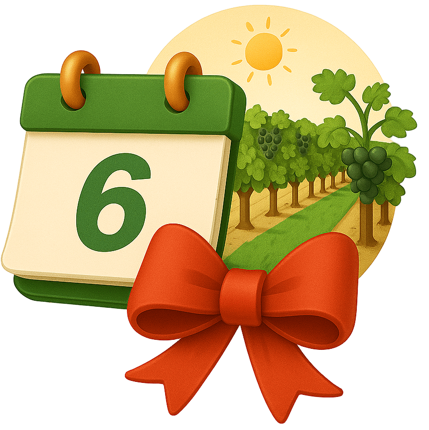 Generated by Plug&Pay AI