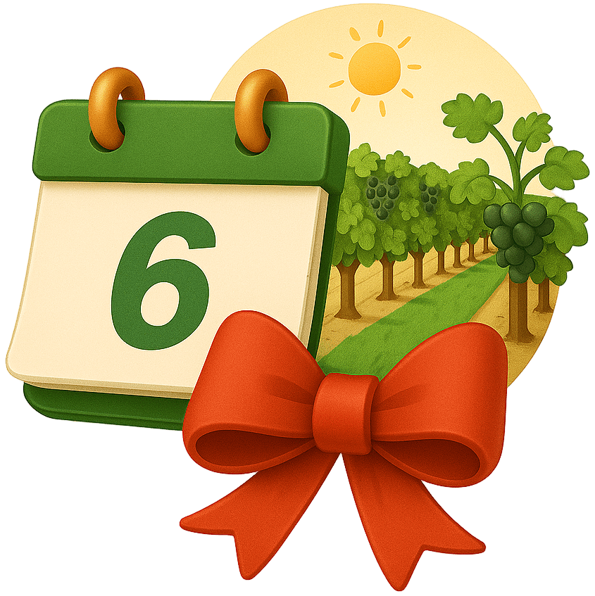 Generated by Plug&Pay AI