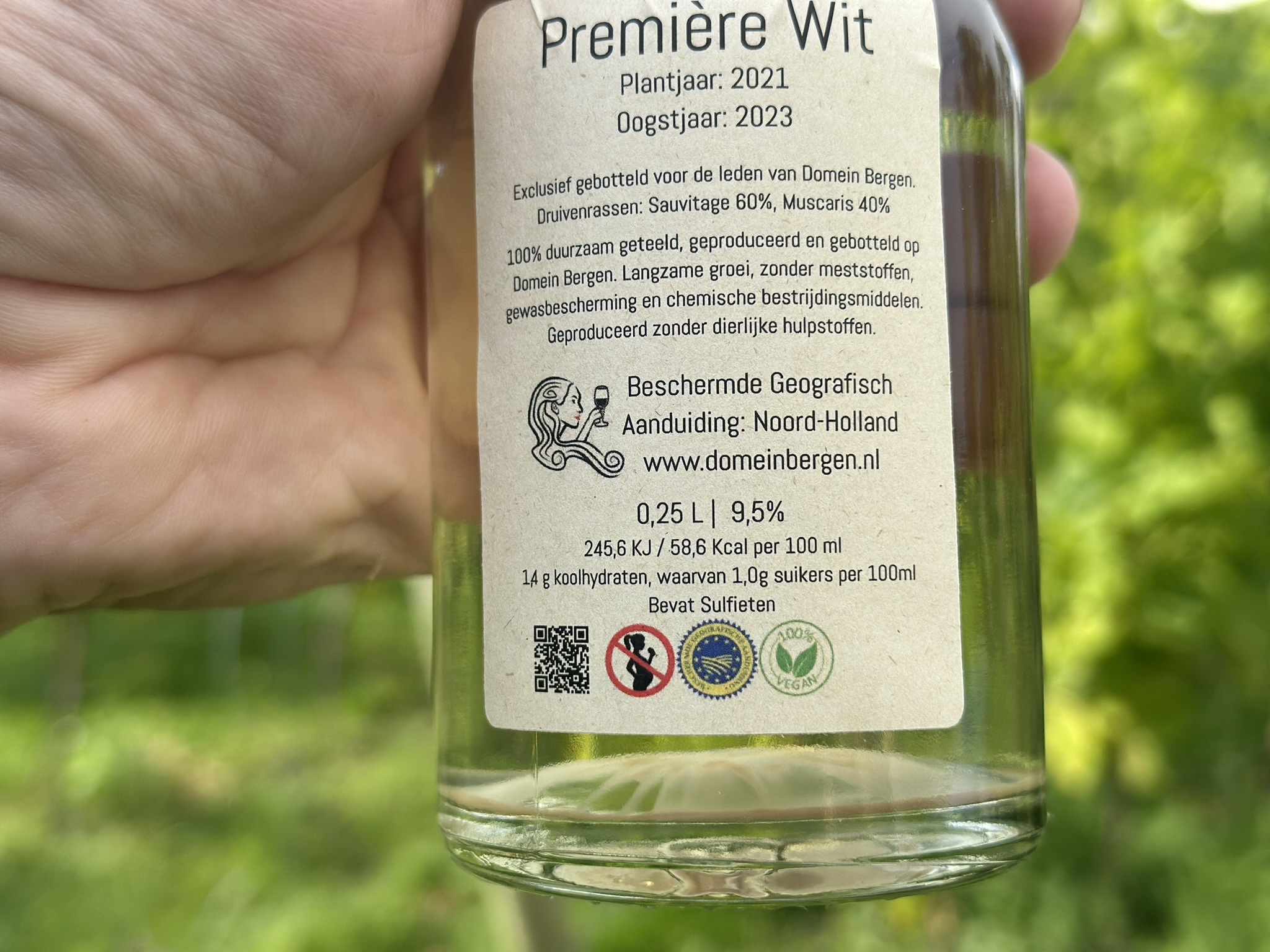 Proefoogst van de Sauvitage en Muscaris op Domein Bergen