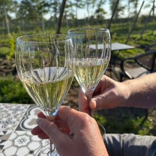 Twee glazen witte wijn die proosten in de wijngaard tijdens de proeverij