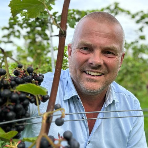 Portret van Sico de Moel tussen de wijnranken, verkleinde versie voor auteursblokken