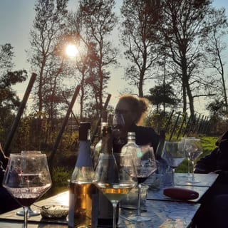 Ton, gast van de wijn-spijs proeverij, bij zonsondergang aan tafel in de wijngaard