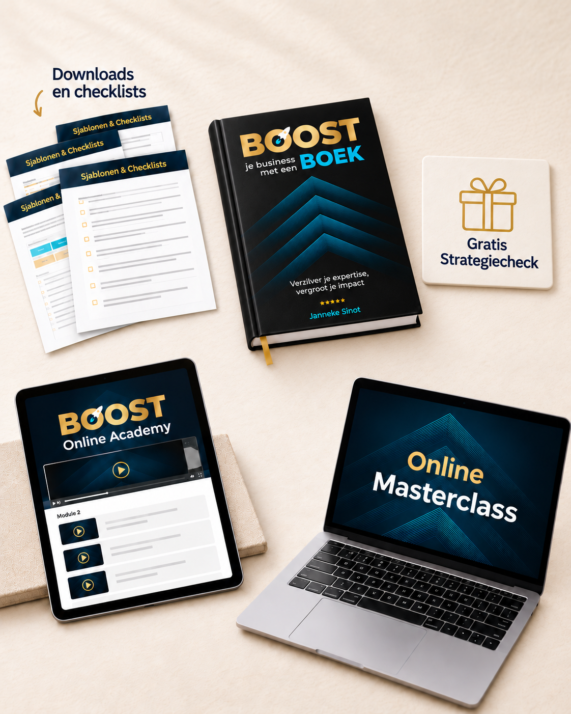 Boost je business - boek met bonussen