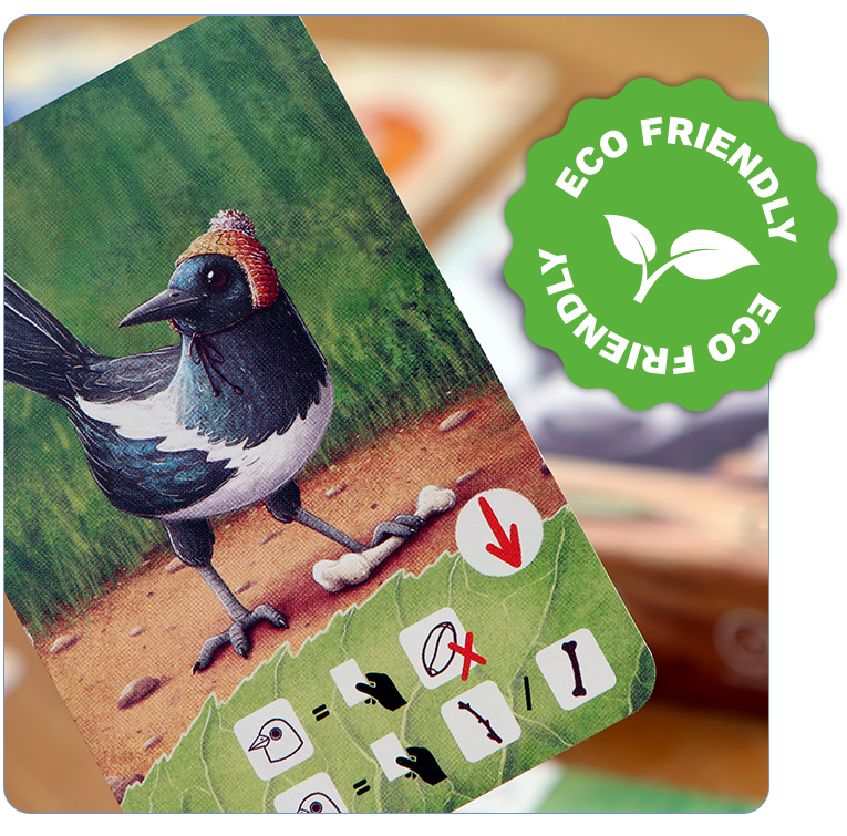 Jolly Club spellen zijn eco-friendly gemaakt