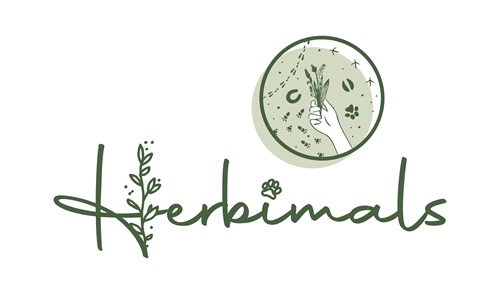 Example image