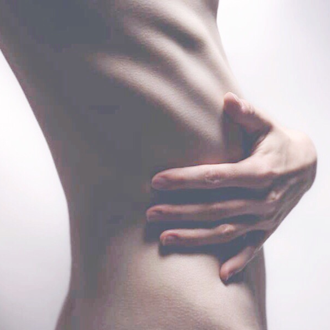 Afbeelding van een romp bij Feldenkrais lessen over de wervelkolom en ruggengraat  - Feldenkrais Online