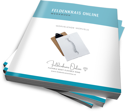 Werkboek Neuro Stress Release bij Pijnvrij Bewegen - Feldenkrais  Online