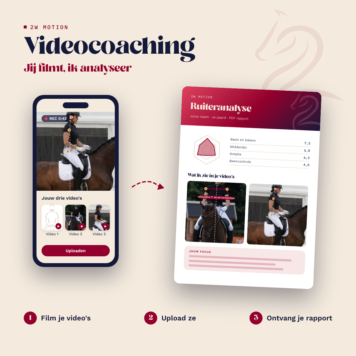 Van video naar PDF rapport