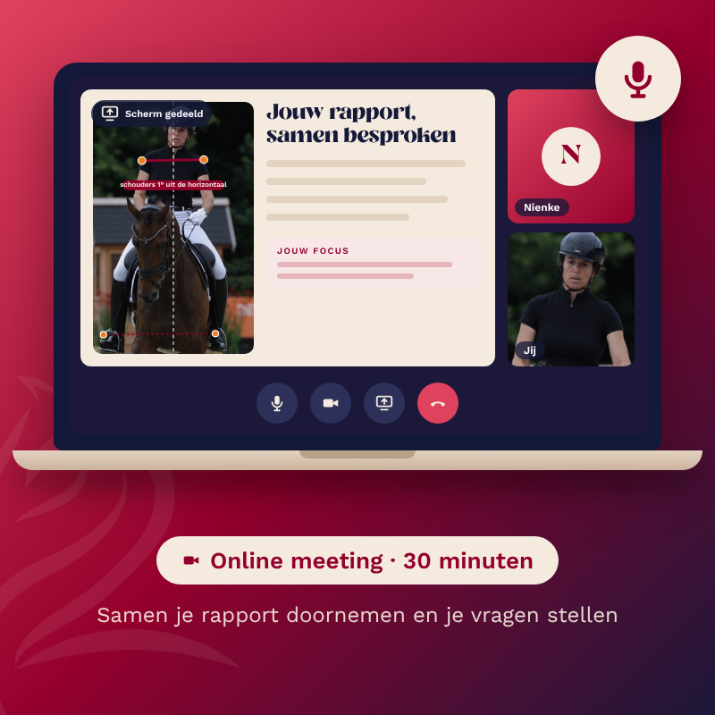 Online meeting van 30 minuten op een laptop