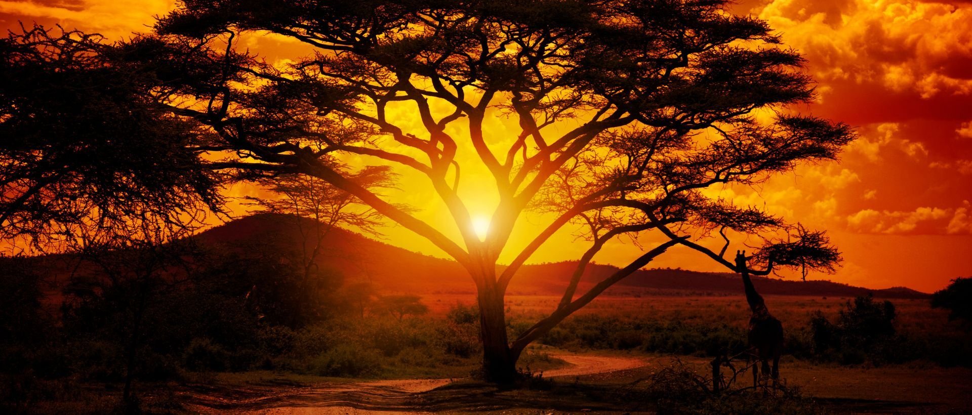 Tips voor eerste reis naar Afrika