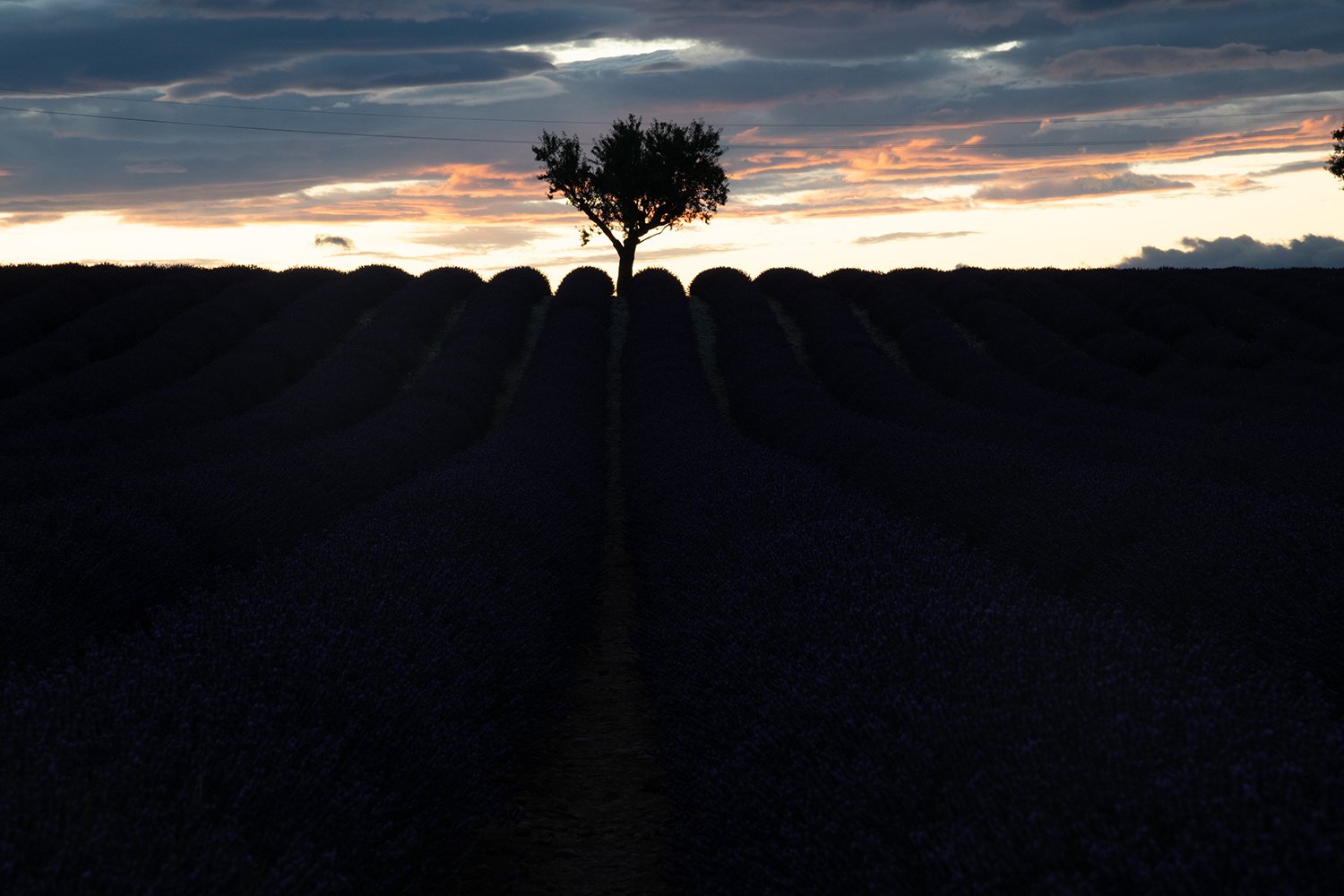 Onbewerkte foto van Valensole