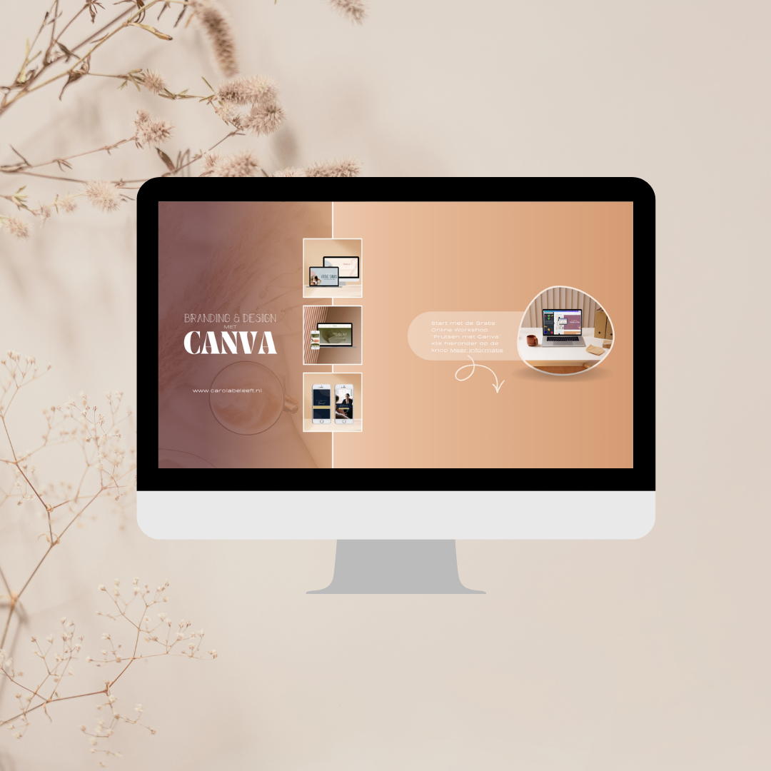 Professionelere designs met de Canva basis training