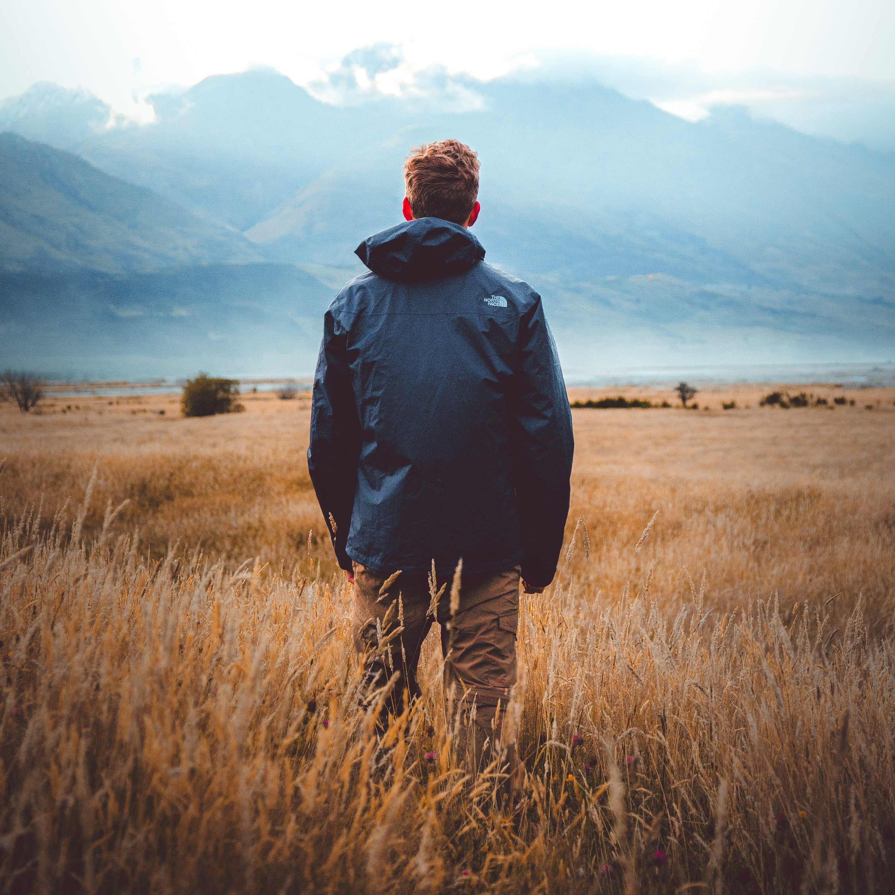 The mammoth like mountains of New Zealand putting me right into scale