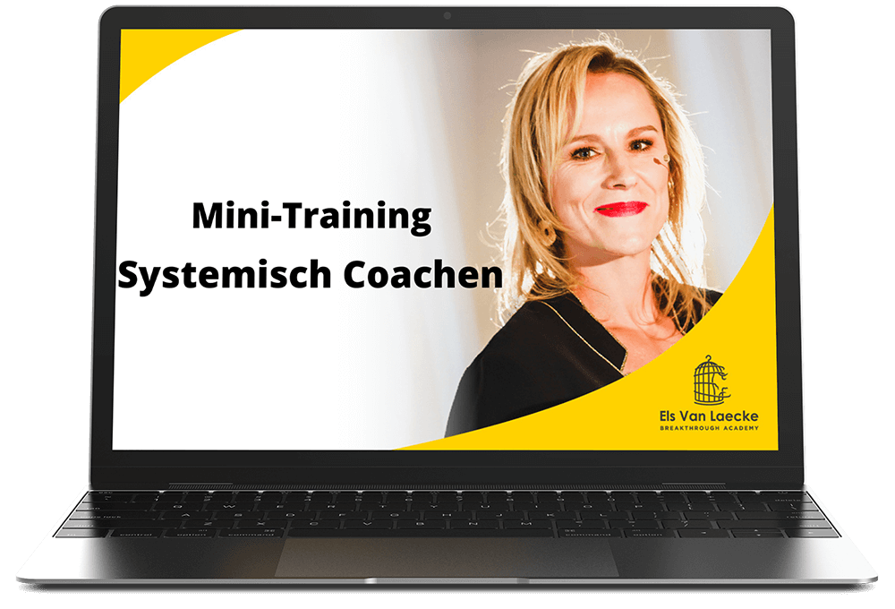 Systemische Coachen Mini Training | Els Van Laecke