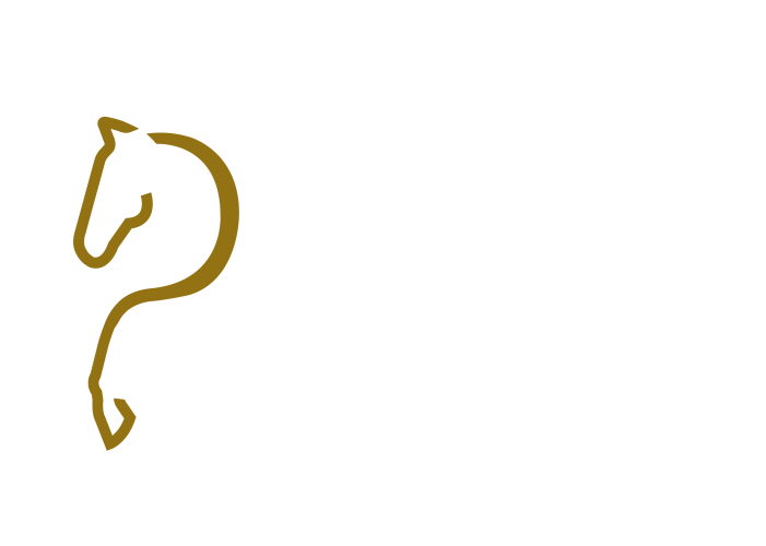 Example image