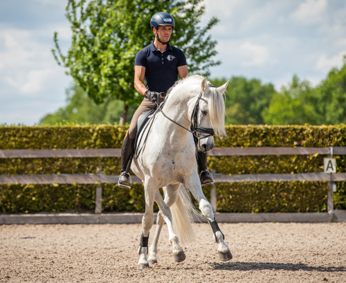 Bastiaan de Recht op een schimmel tijdens dressuurtraining