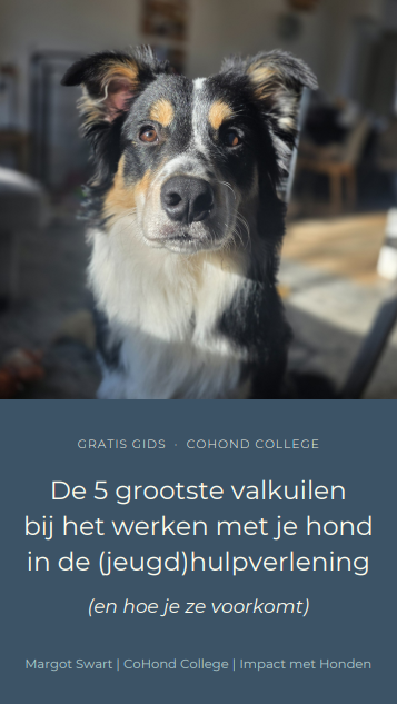 Voorkant van de vernieuwde gids van 31 pagina's