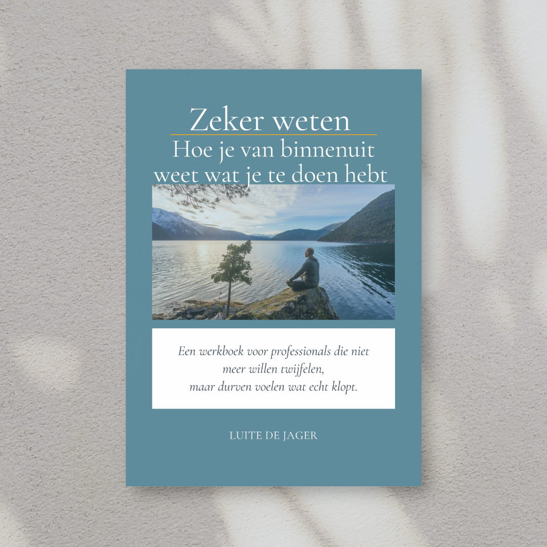 Clarity Compass werkboek