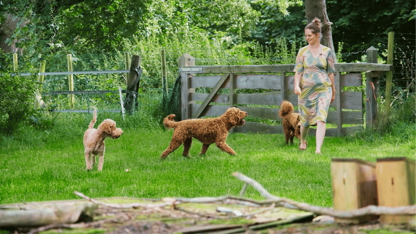 poort naar het landgoed