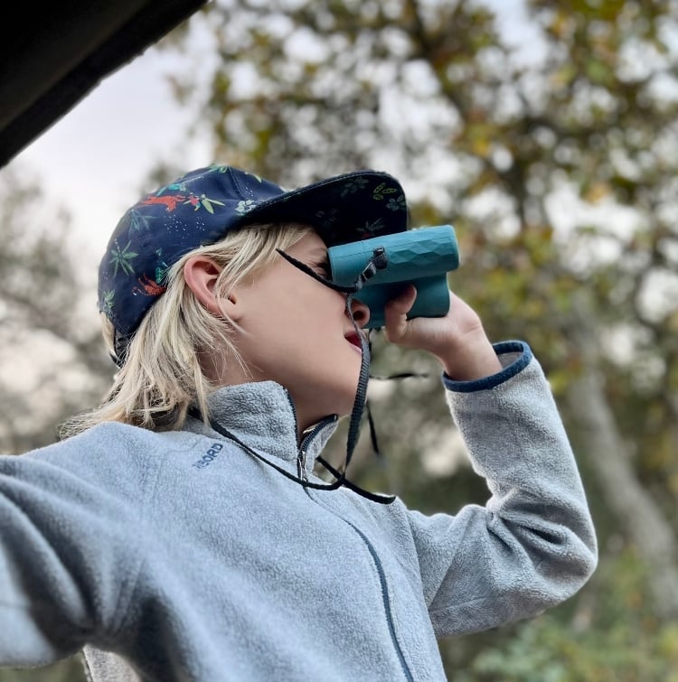 Zuid-Afrika met kinderen safari