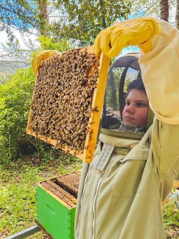 Imker bezoeken Ardeche Frankrijk