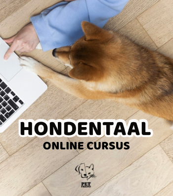 Hondentaal online cursus • PetFriend