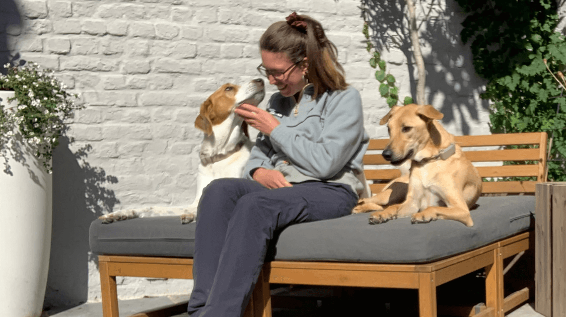 PetFriend_Bentley_Boris_Sara