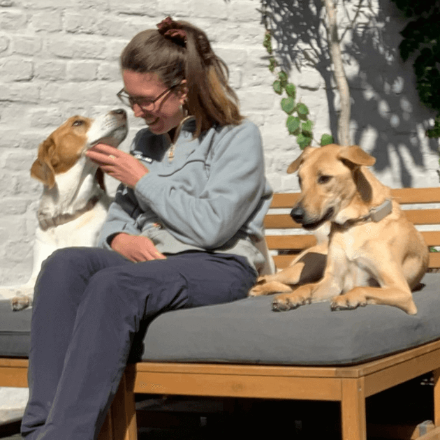 PetFriend_Bentley_Boris_Sara