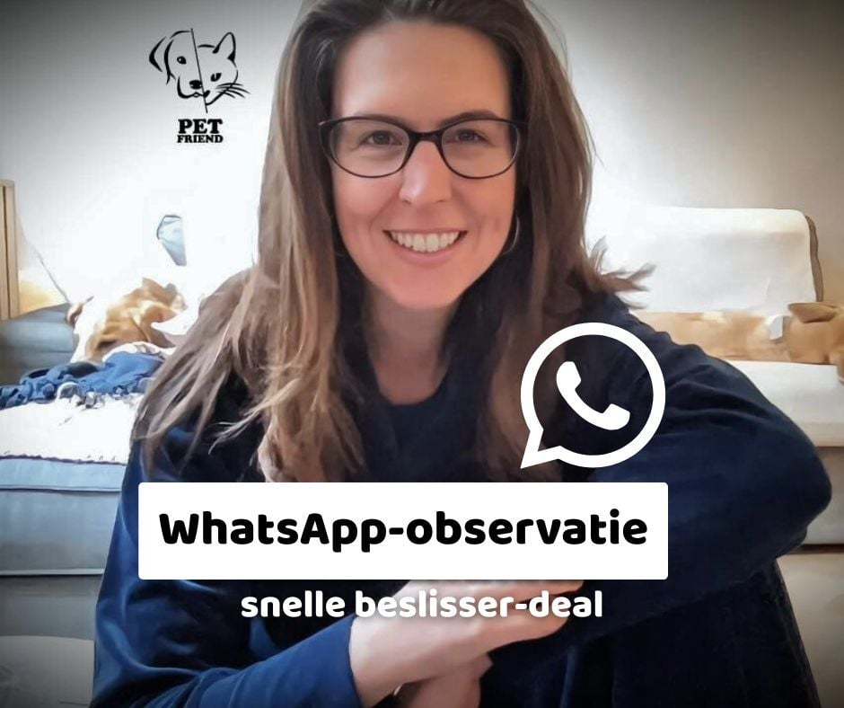 snelle beslisser-deal