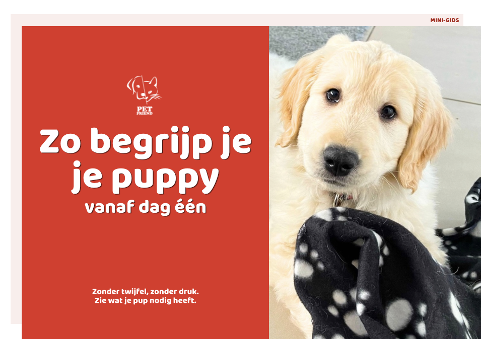 Begrijp je pup vanaf dag één door diervriendelijke adviezen en inzichten.