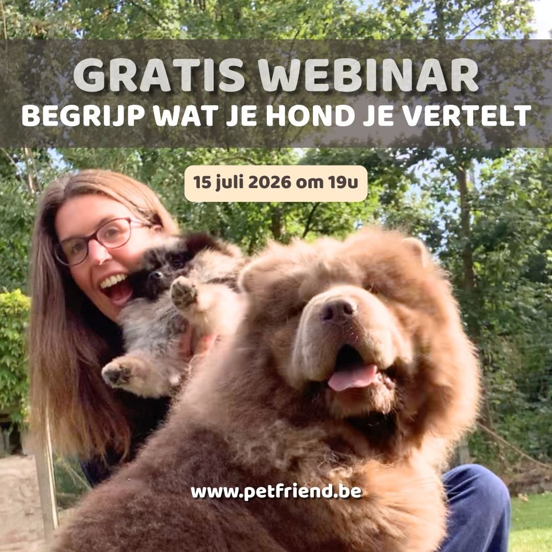 WEBINAR Begrijp wat je hond je vertelt