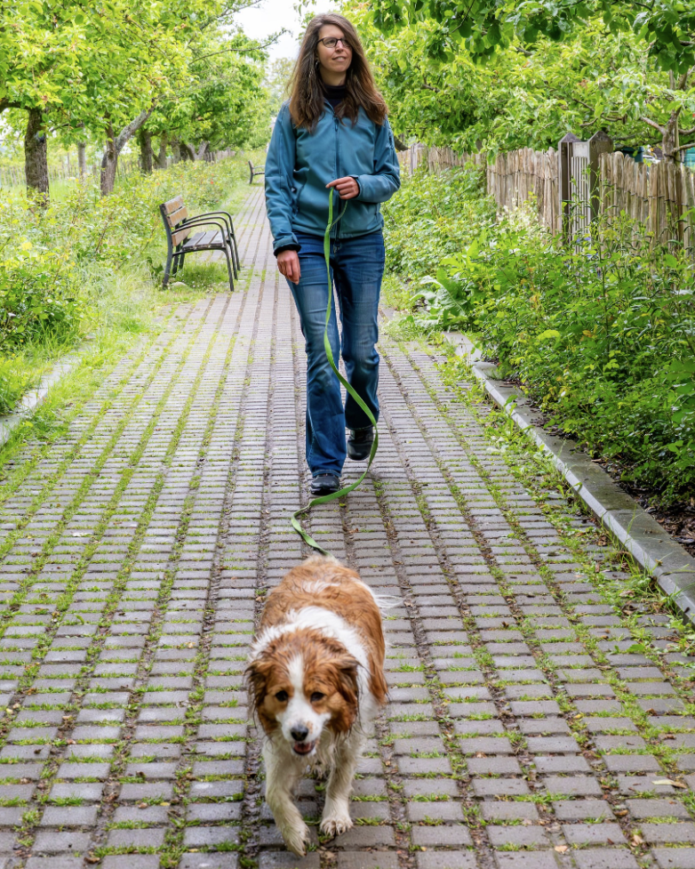 PetFriend aangelijnd wandelen