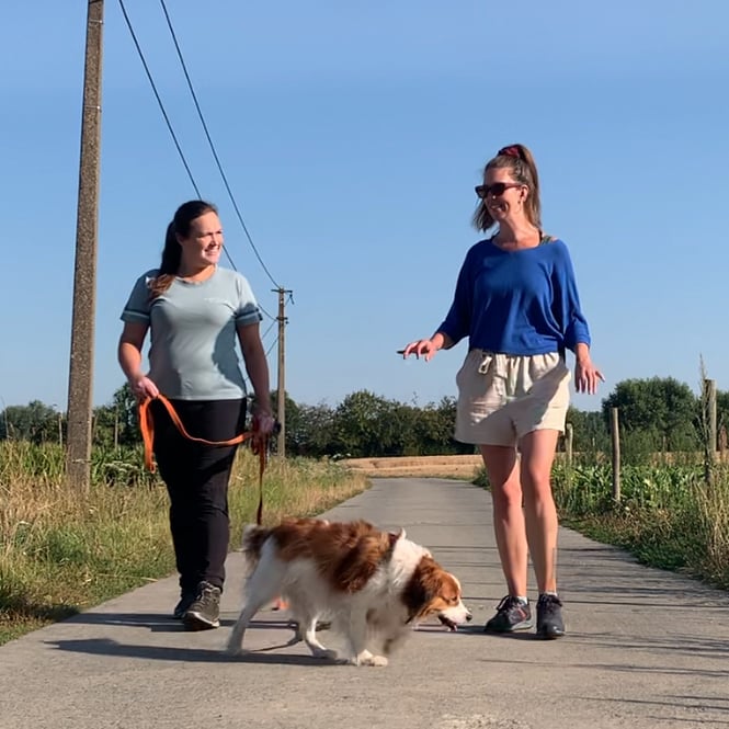Ontspannen hondenwandeling