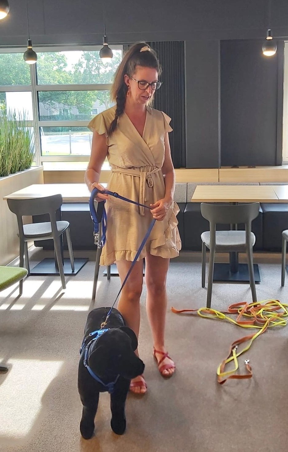 Workshop Ontspannen hondenwandeling_Demo