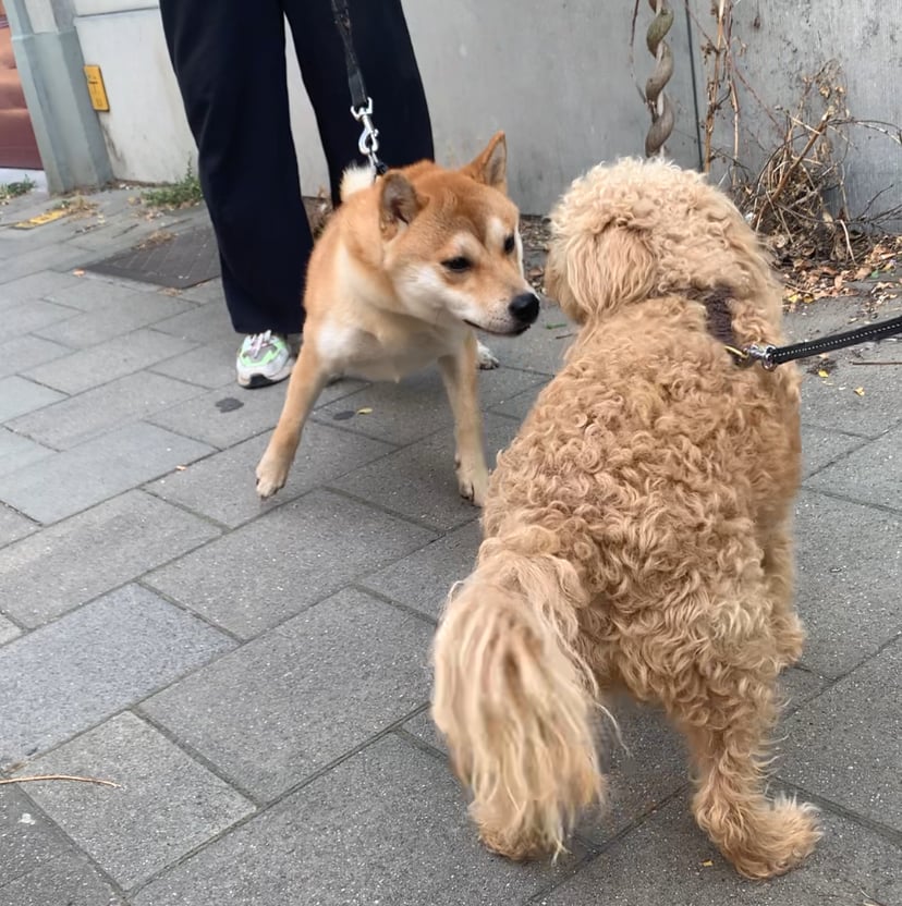 Wandeling-moeilijk moment