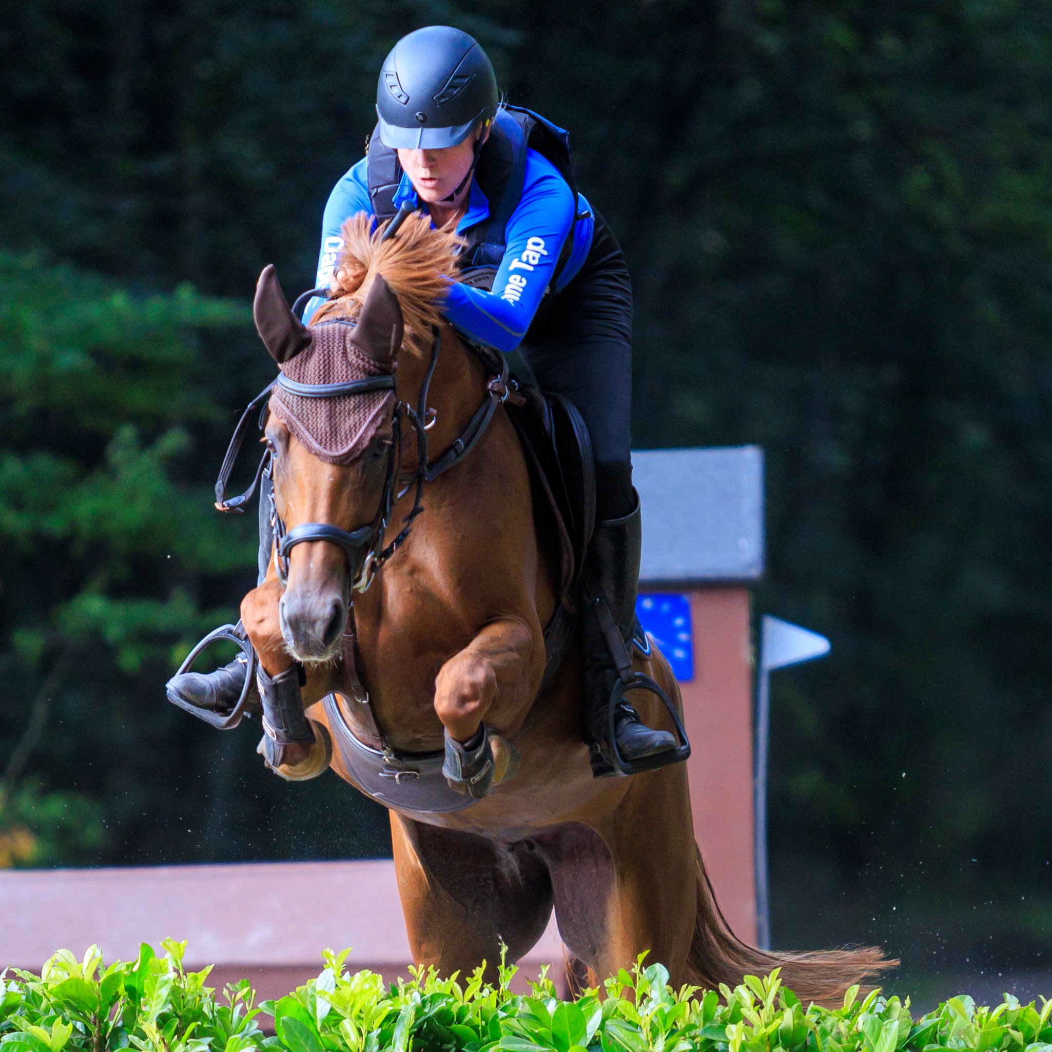 Hoe een sportpaard ondersteuning geven tijdens wedstrijden