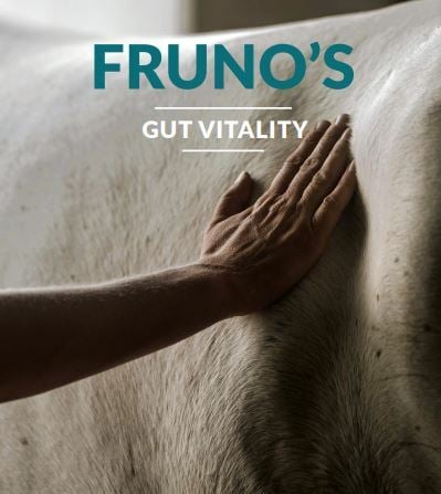 Een darm supplement voor paarden die last hebben van mestwter, opgeblazen buik, slappe mest en terugkerende koliek