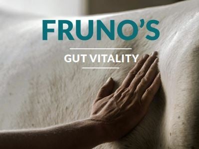 Een darm supplement voor paarden die last hebben van mestwter, opgeblazen buik, slappe mest en terugkerende koliek