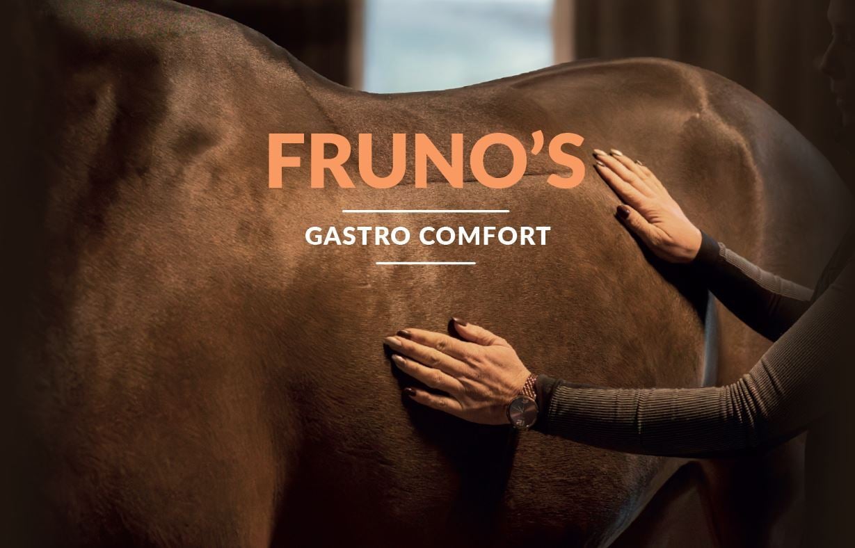 Een supplement voor paarden met een gevoelige maag. Paarden die snel last hebben van maagzweren en daarvoor ondersteuning nodig hebben