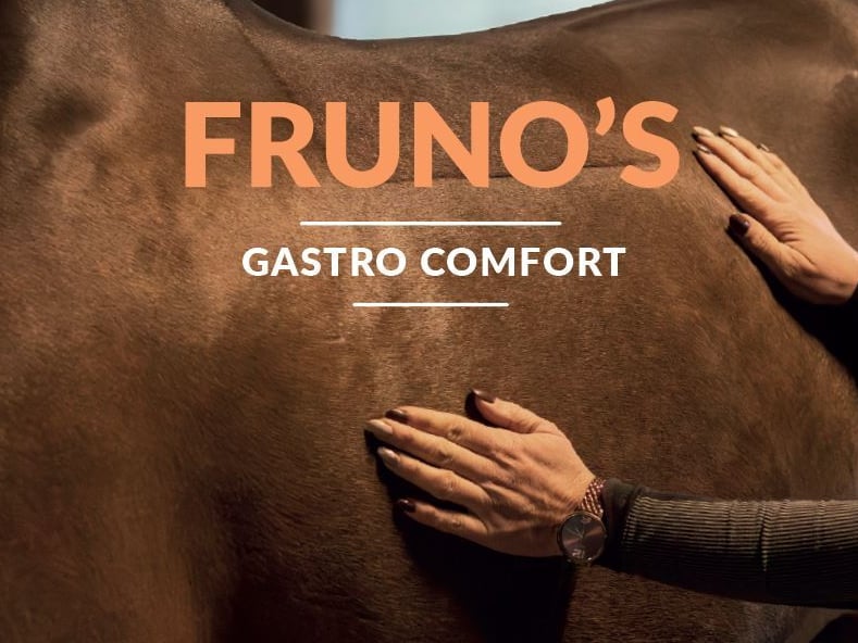 Een supplement voor paarden met een gevoelige maag. Paarden die snel last hebben van maagzweren en daarvoor ondersteuning nodig hebben