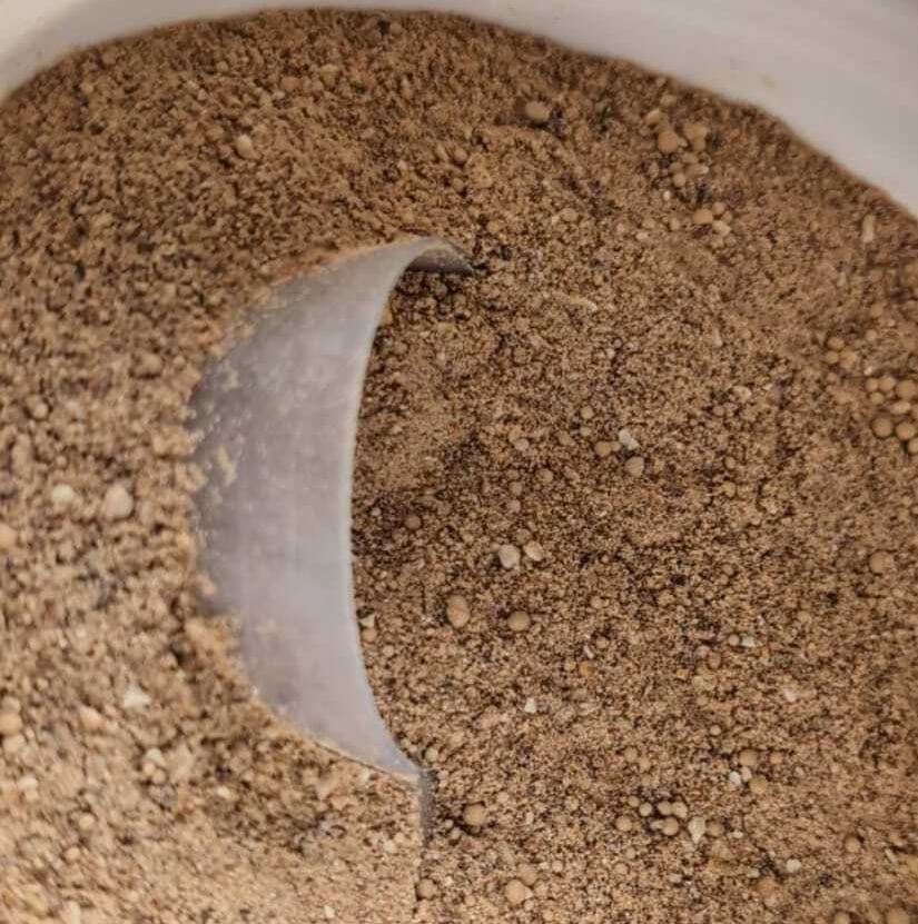 Supplement voor paarden met probiotica, prebiotica en postbiotica